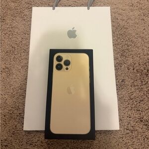 Orginal iPhone 13 pro max box and bag